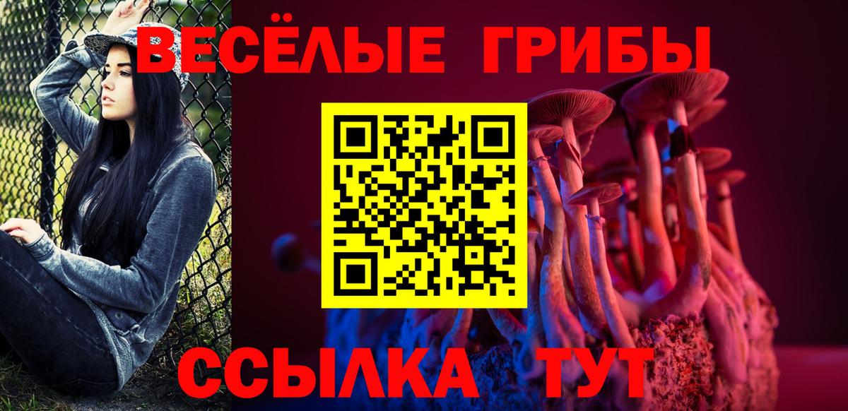 Галлюциногенные грибы GOLDEN TEACHER Корсаков