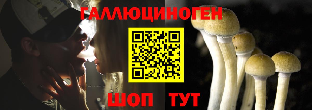Корсаков  Псилоцибиновые грибы Psilocybe  Вход с VPN  Галлюциногенные грибы Cubensis 
